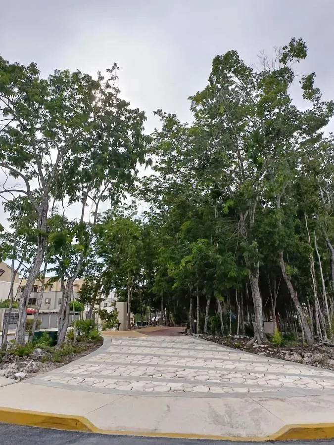 Charming Apartment Hoestel Reiden! Playa del Carmen 0*,  Meksyk